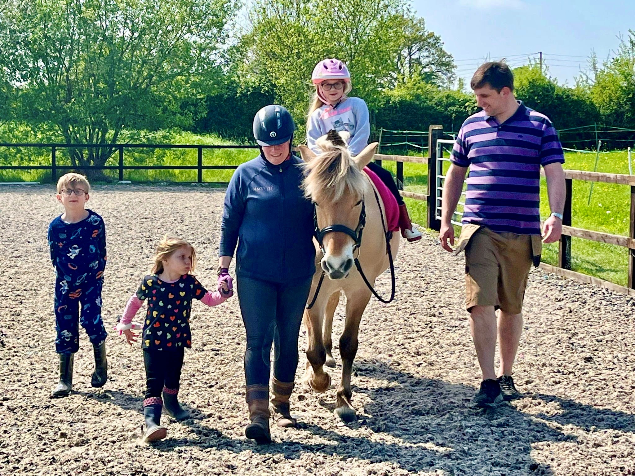 From Discomfort to Delight: How to Increase Bridle Comfort for Your Horse.