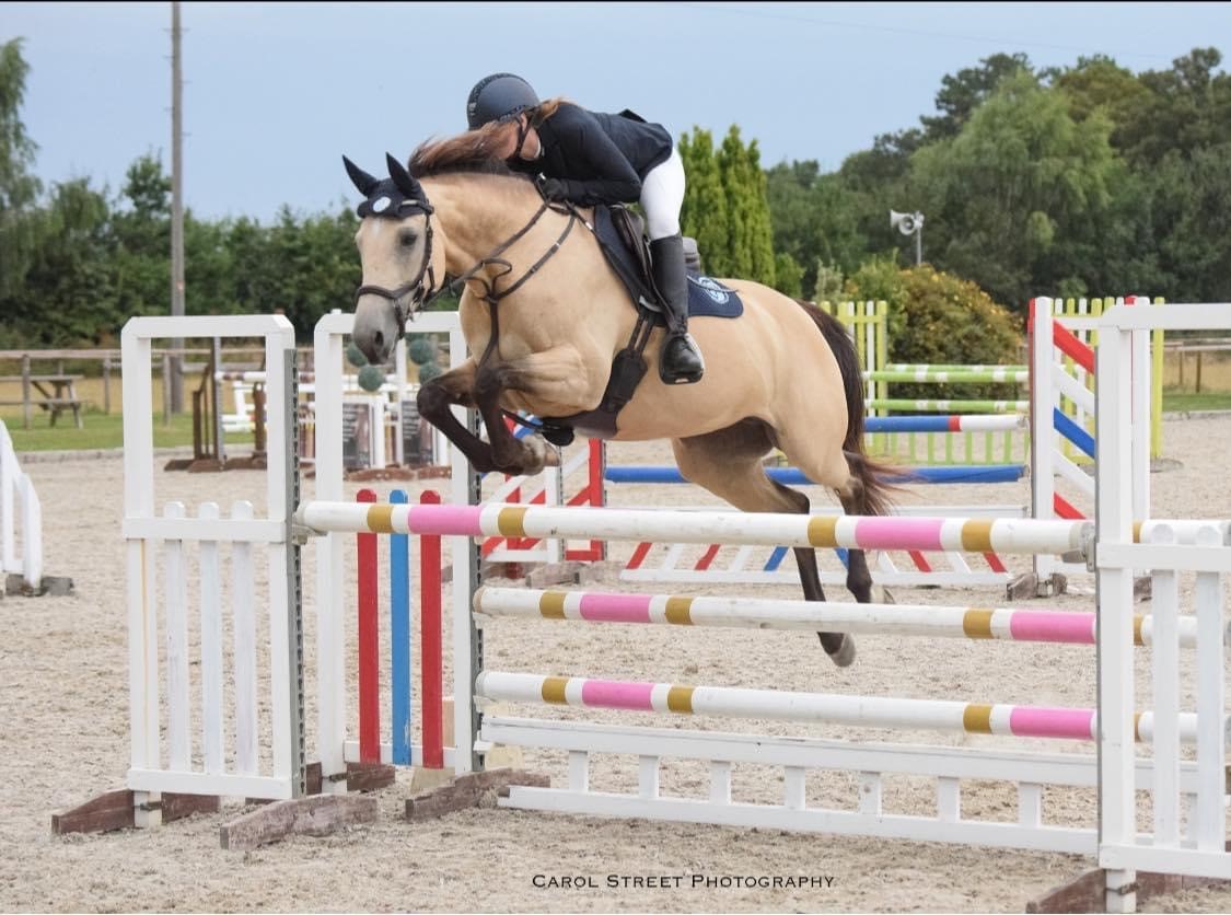 Summer Horse Care | How to Keep Horses Cool in Hot Weather