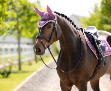 Horse wearing LeMieux Mallow