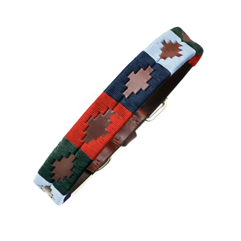 Cordoba 4 Dog Collar