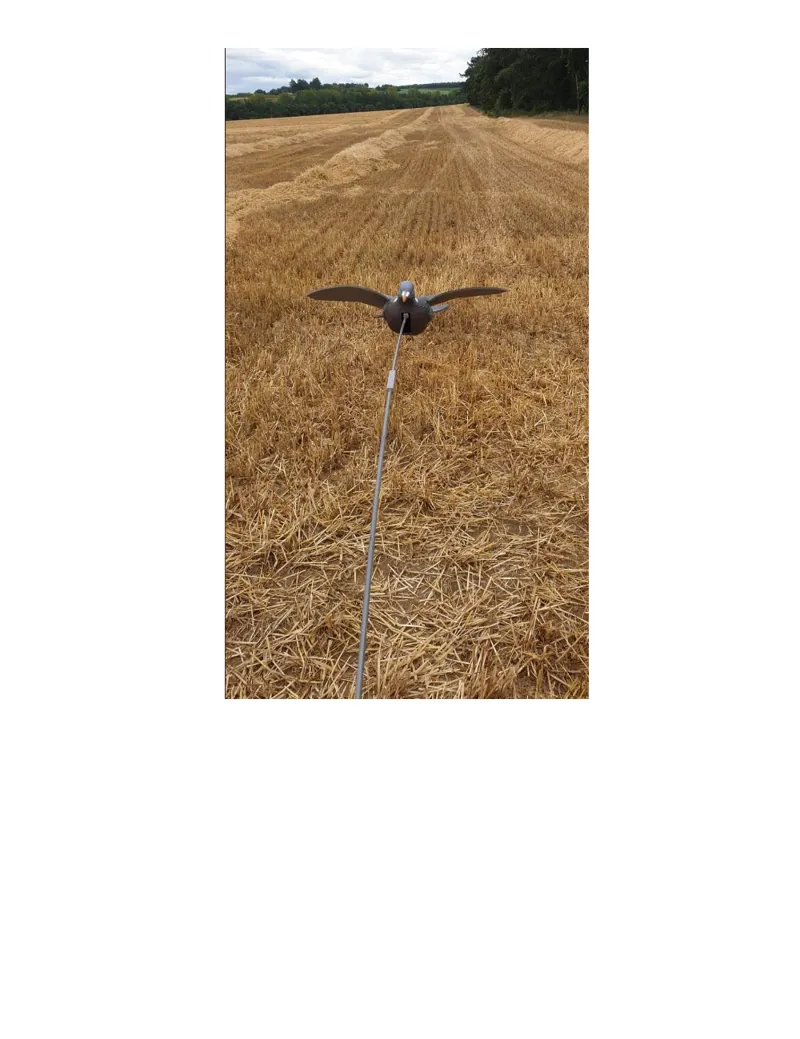 DJ Decoy Enforcer Pro Series Flying Decoys