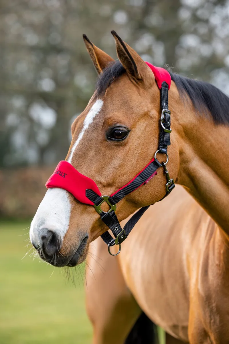 LeMieux Vogue Headcollar and Leadrope Set Chilli-1