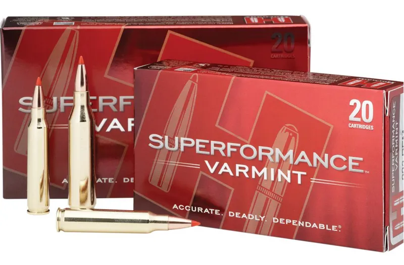 Hornady Superformance Varmint .204 Ruger 40gr V-Max x20