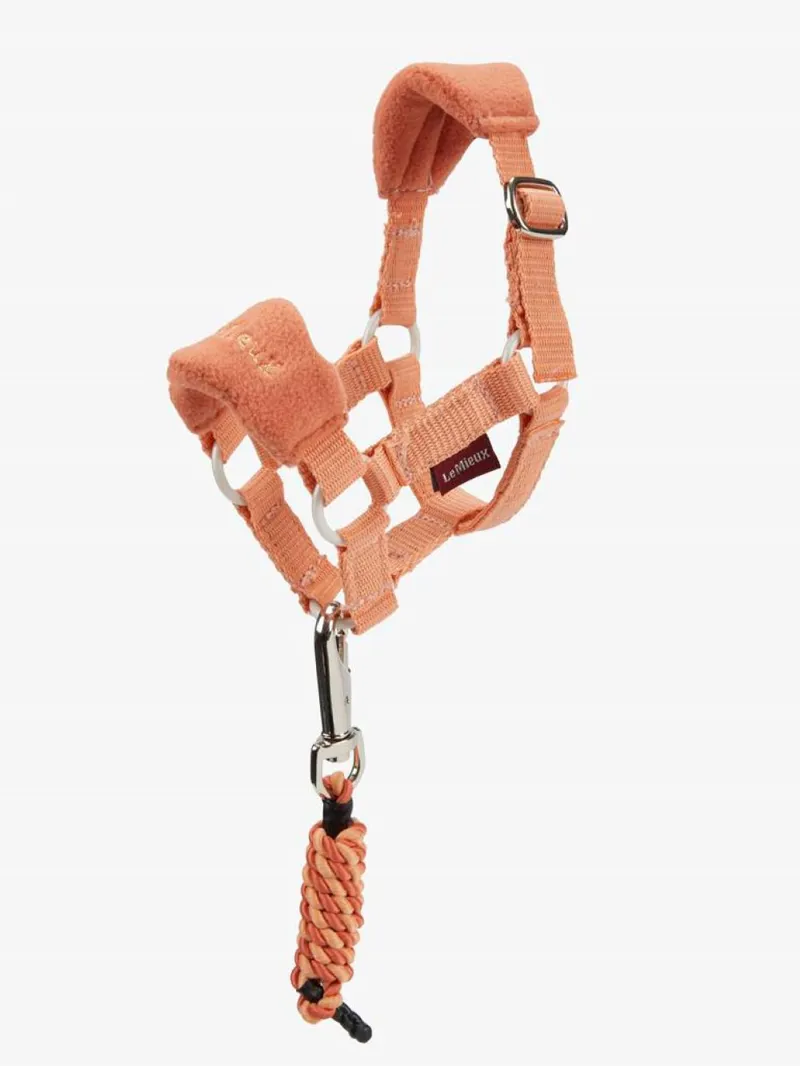 LeMieux Toy Pony Headcollar Apricot