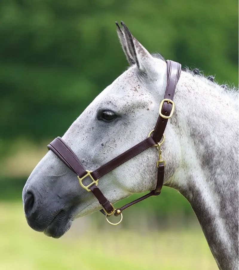 Headcollars & Leadropes