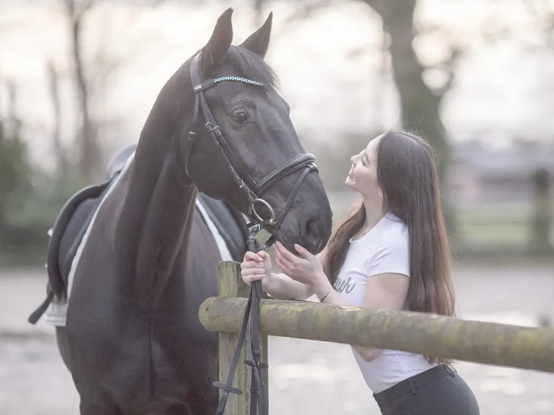 Stubben MagicTack Browband Loops Micklem Black-1