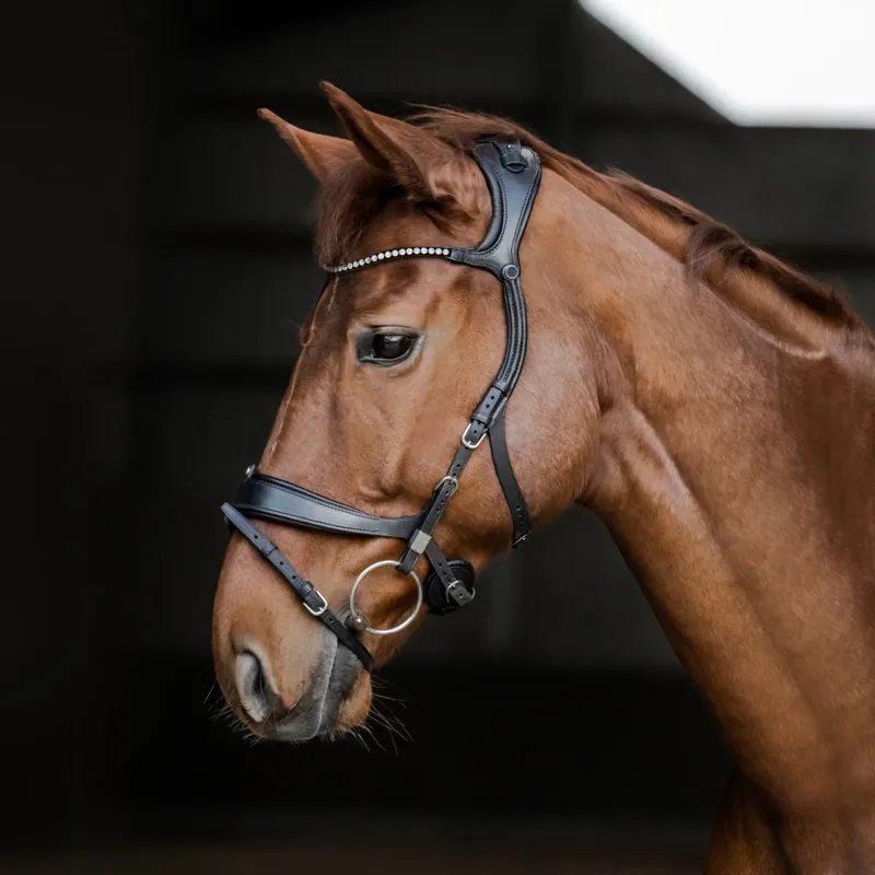 Stubben Freedom II Bridle Hire-1