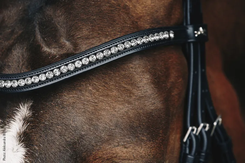 Schockemohle Crystal Browband Grey-1