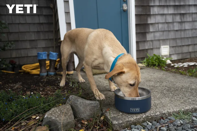 YETI Boomer 8 Non-Slip Stainless Steel Dog Bowl Navy-4