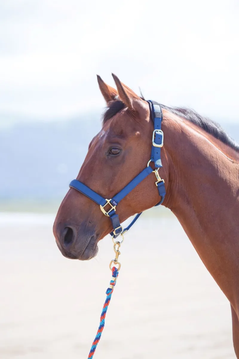 Topaz Nylon Headcollar Navy