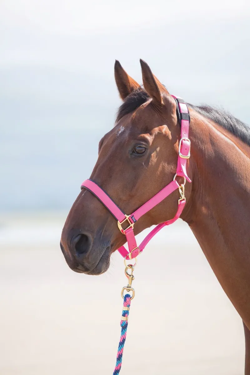 Topaz Nylon Headcollar Pink