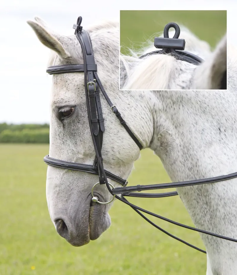 Shires Elastic Training Reins