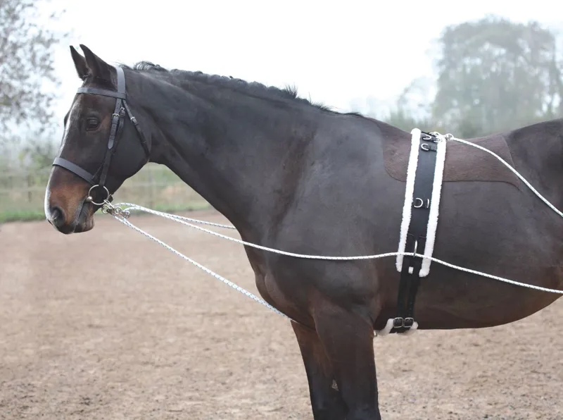 Shires Lunging Aid Black Full Size-1