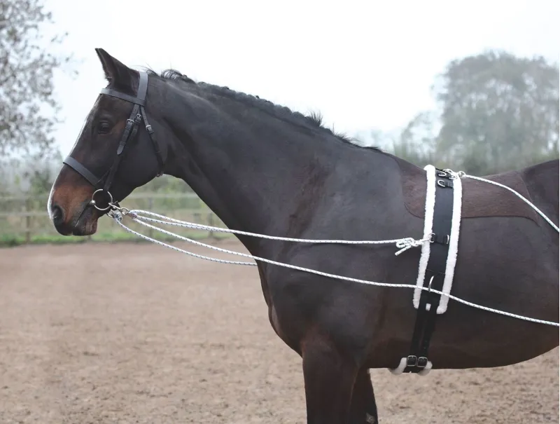 Shires Lunging Aid Black Full Size-2