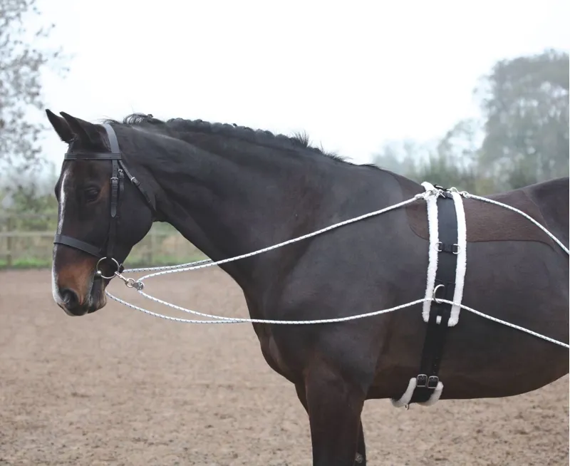 Shires Lunging Aid Black Full Size-3