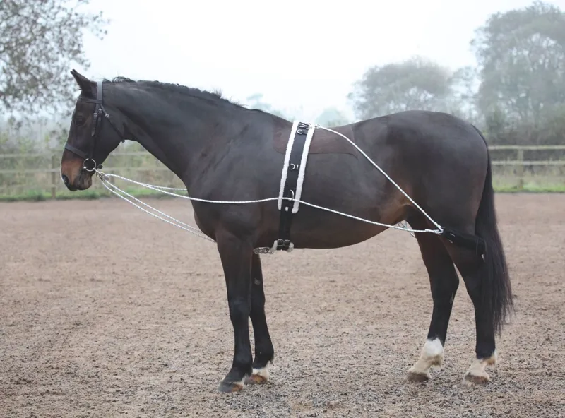 Shires Lunging Aid Black Full Size