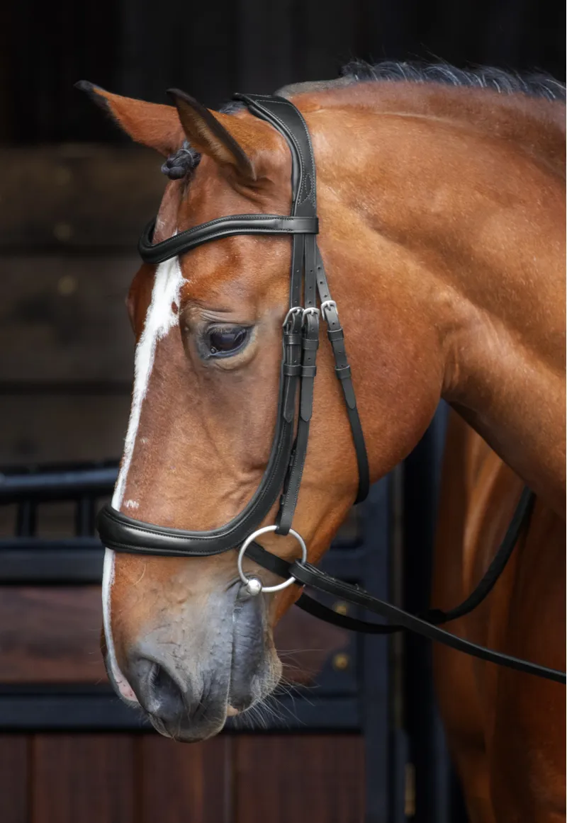 Shires Velociti Rapida Ergonomic Curved Cavesson Bridle With Reins Black