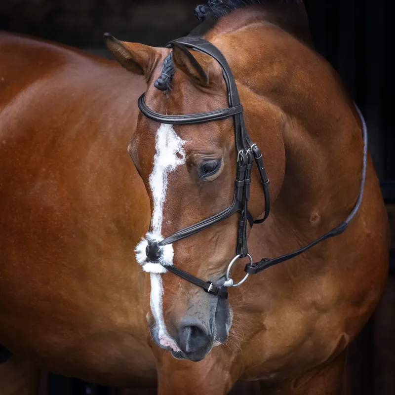 Shires Velociti Rapida Grackle Bridle With Reins Black