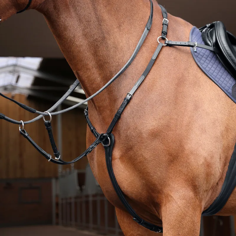 Shires Velociti Rapida Elastic Breastplate Black