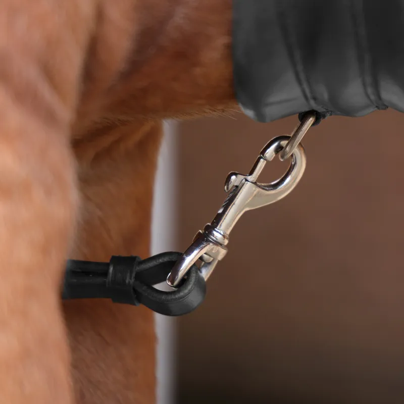 Shires Velociti Rapida Elastic Breastplate Black-3