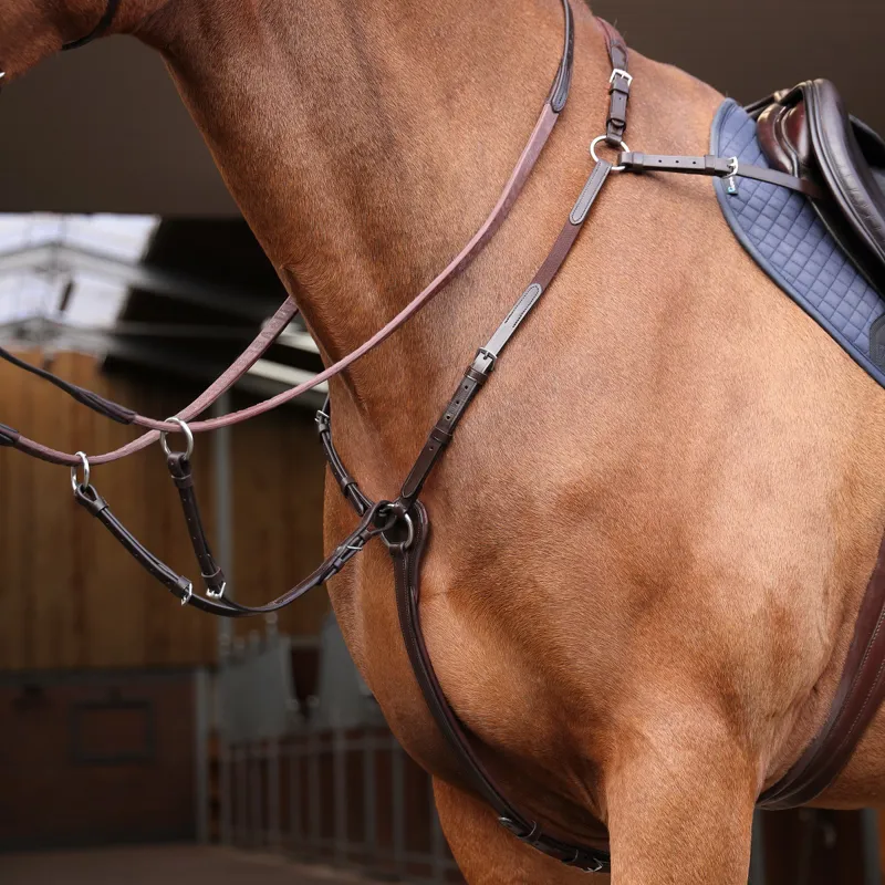 Shires Velociti Rapida Elastic Breastplate Havana