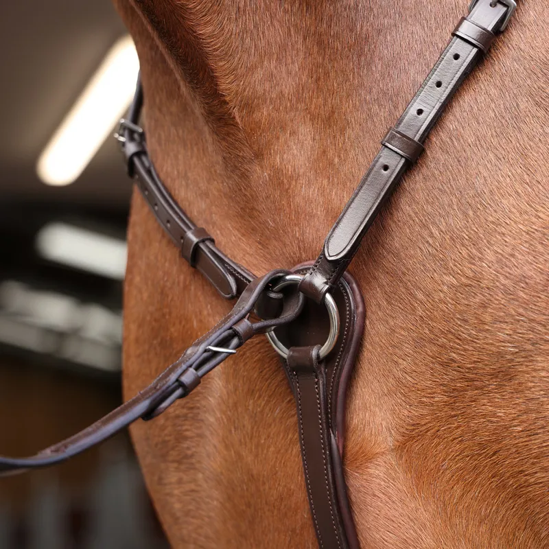 Shires Velociti Rapida Elastic Breastplate Havana-2