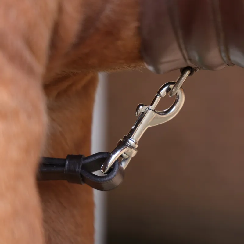 Shires Velociti Rapida Elastic Breastplate Havana-4