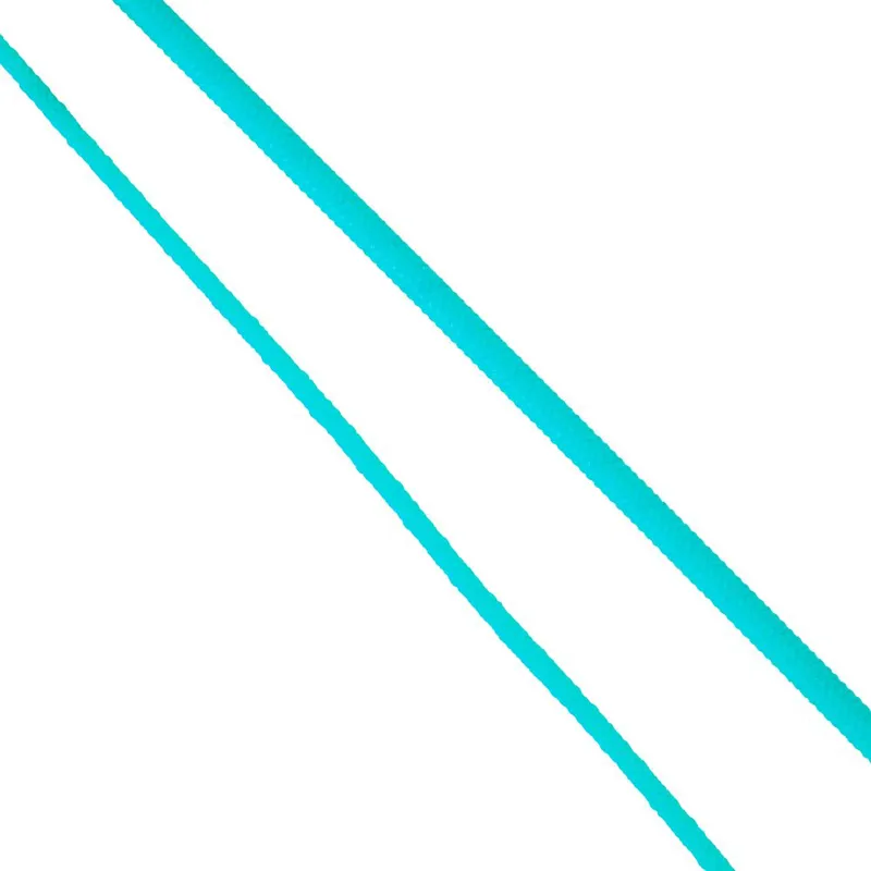 Shires Lunging Whip Blue-1