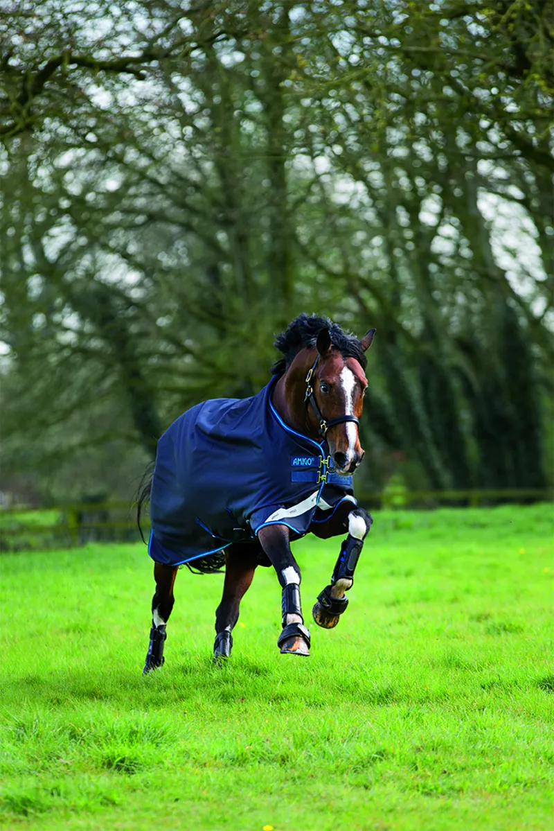 Amigo Bravo 12 Turnout 100g Navy/Electric Blue-1