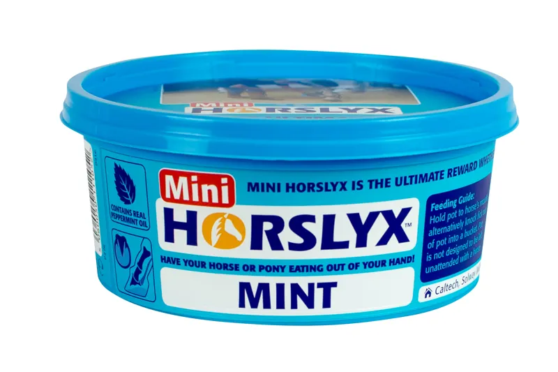 Horslyx Mini Licks Mint
