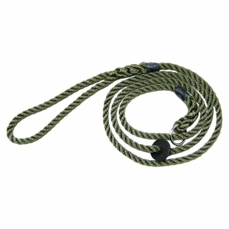 Bisley Deluxe Dog Lead Green