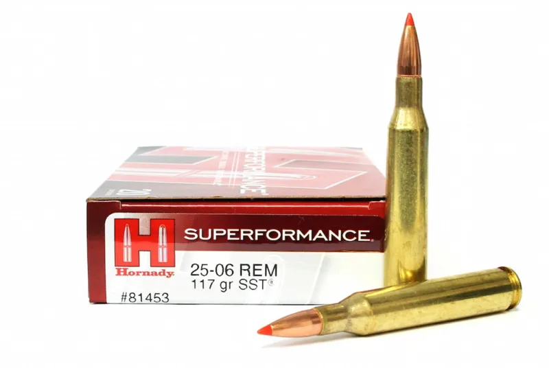 Hornady 25-06 Rem 117 gr InterLock  BTSP x20