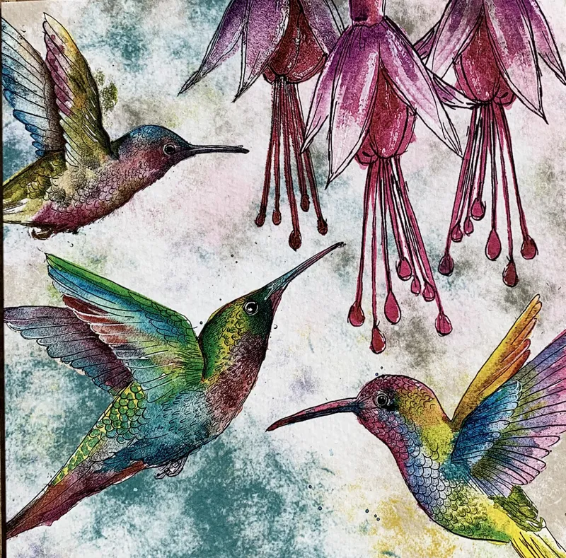 Dollyhotdogs Hummingbird Card