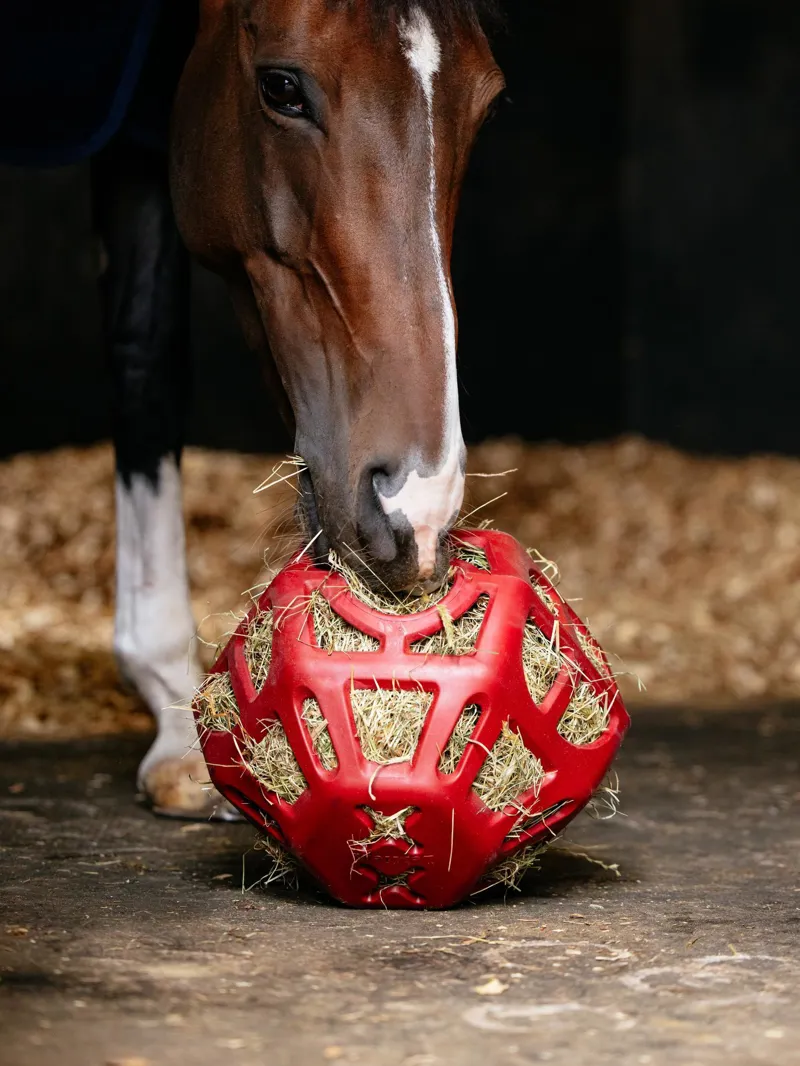 LeMieux Hay Ball Chilli