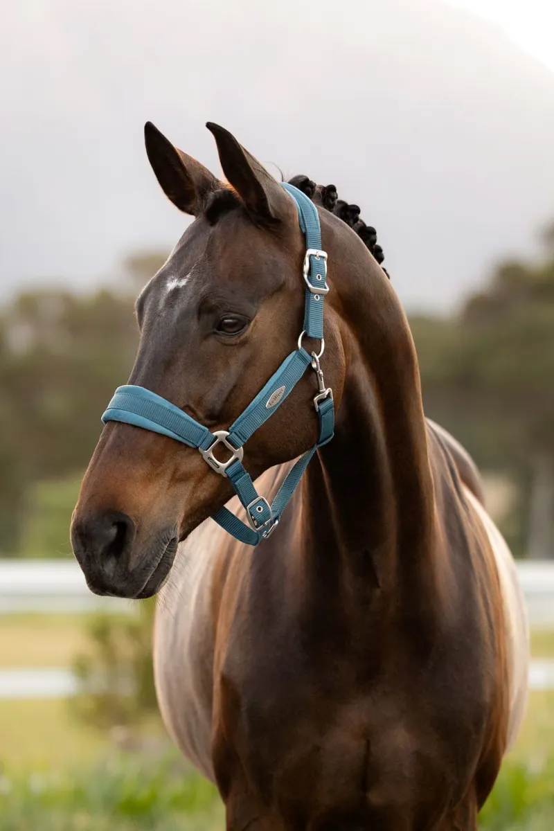 LeMieux Versailles Headcollar Jungle-1
