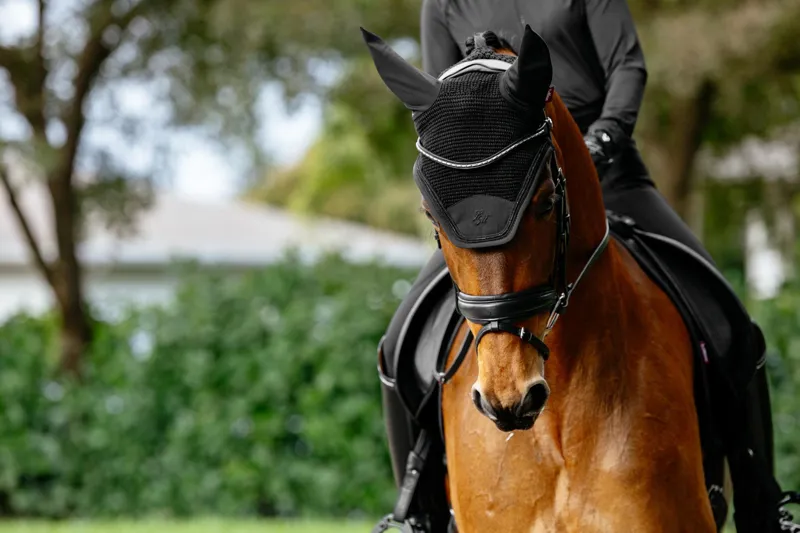 LeMieux Brilliance Fly Hood Black-2