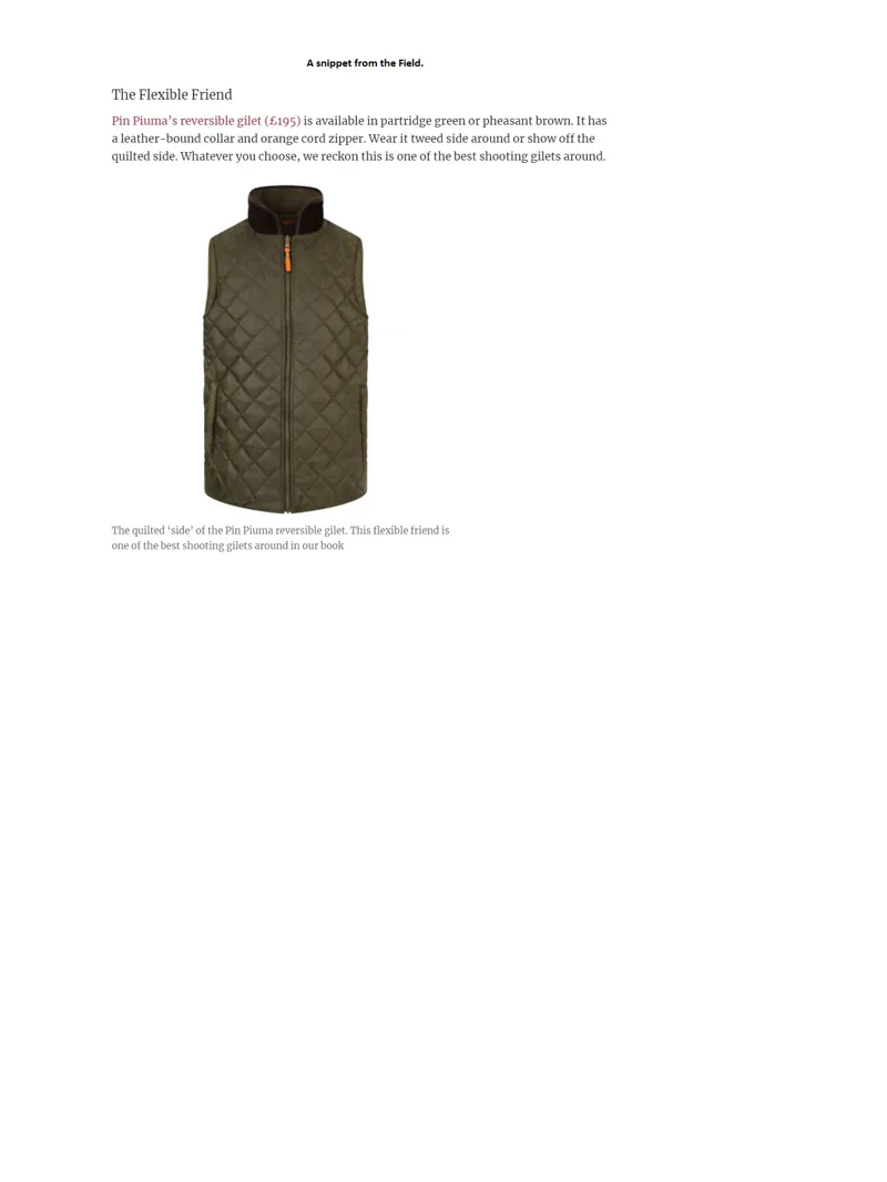 Pin Piuma Pheasant Reversible Gilet-3
