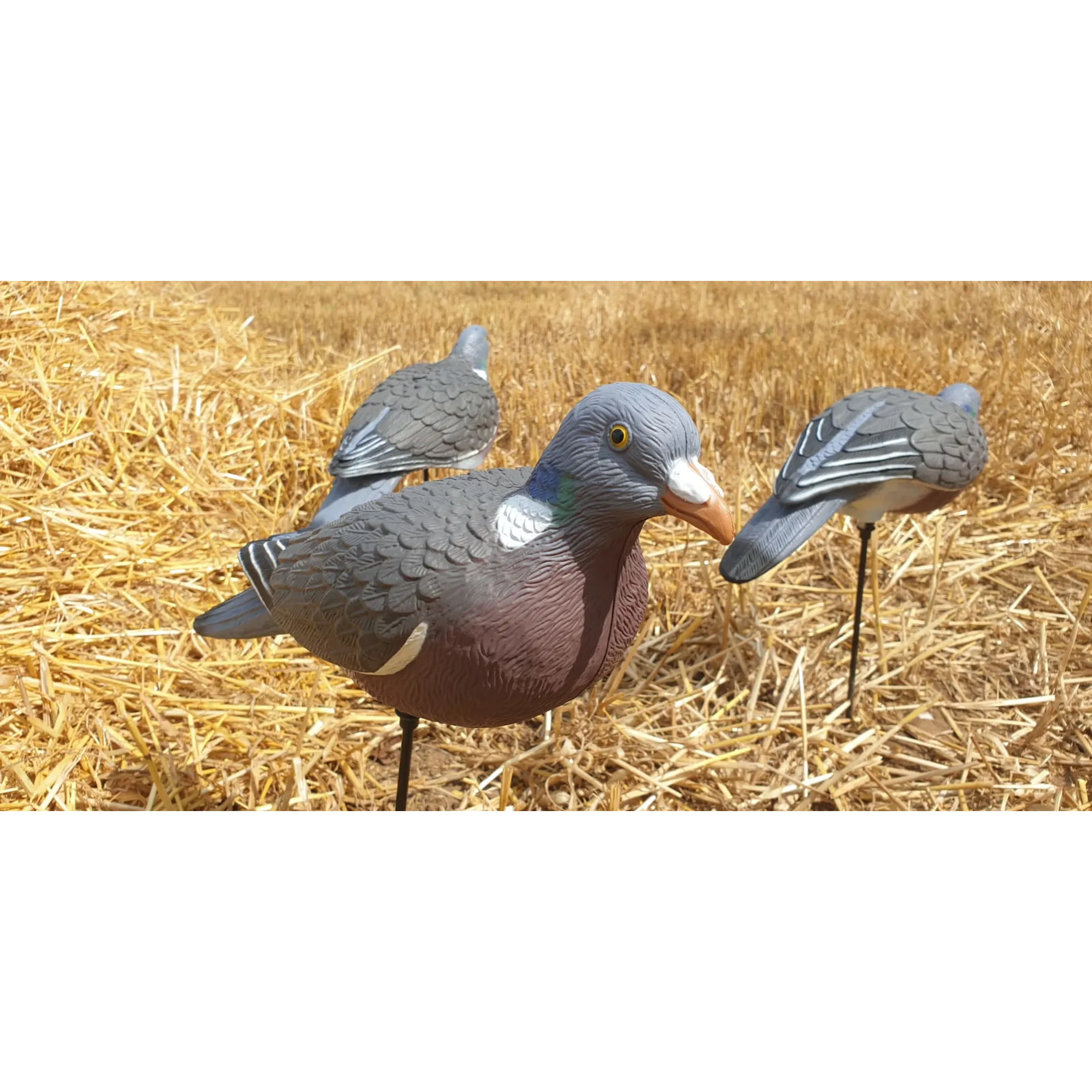 Enforcer Pro Series Full Bodied Pigeon Decoy