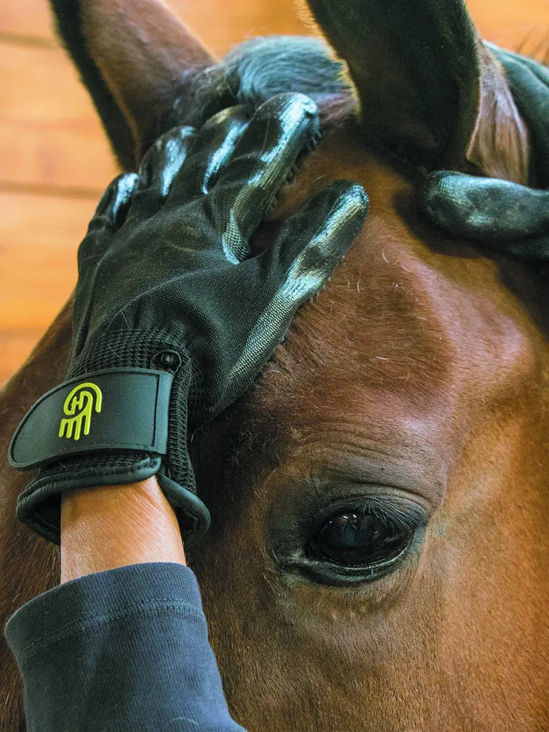 LeMieux Hands On Gloves-1