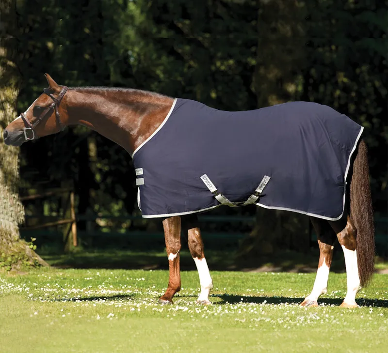 Amigo Stable Sheet Navy