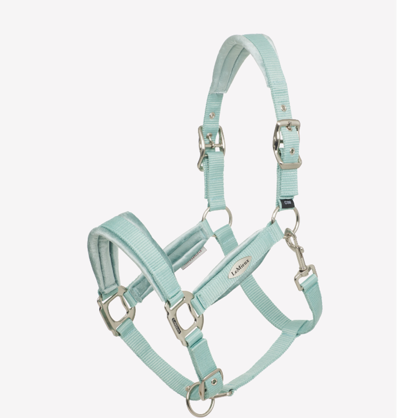 LeMieux Versailles Headcollar Aqua-1