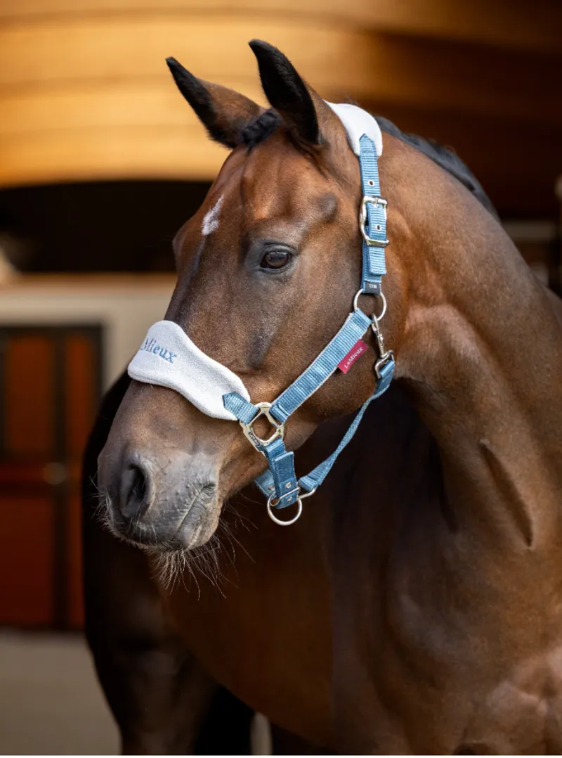 LeMieux Vogue Headcollar and Leadrope Ice Blue