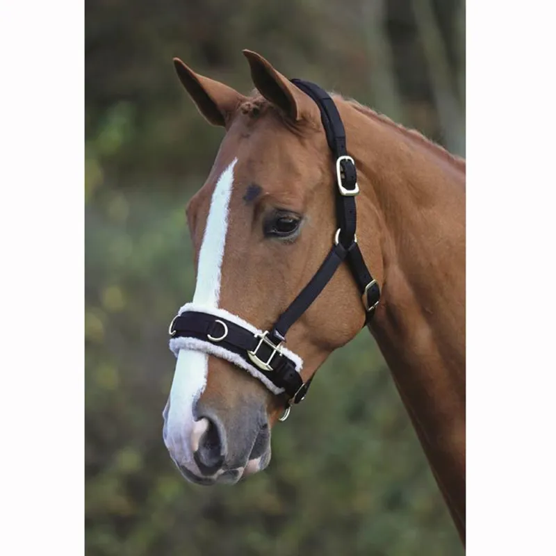 Fleece Lined Lunge Cavesson Black